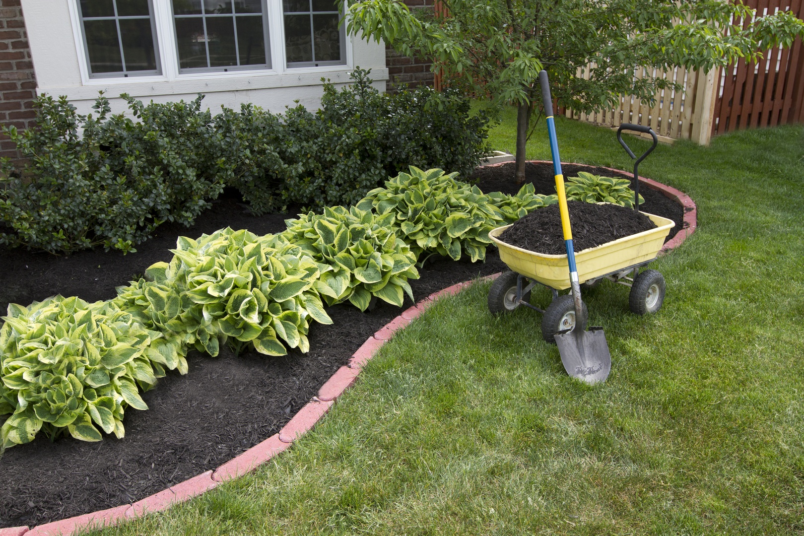 Green Tree Columbus landscaping flower bed clean up mulch