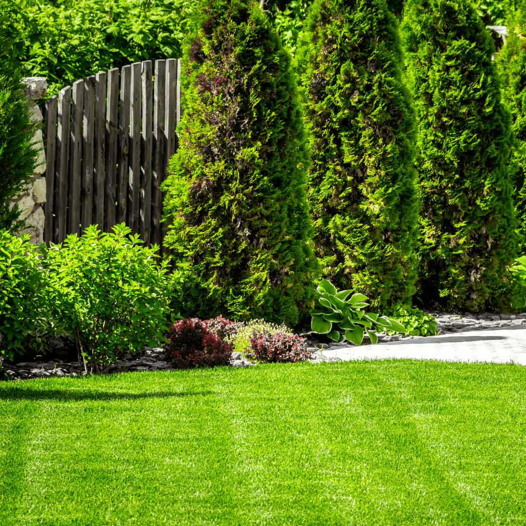 Edging & Hedge Trimming