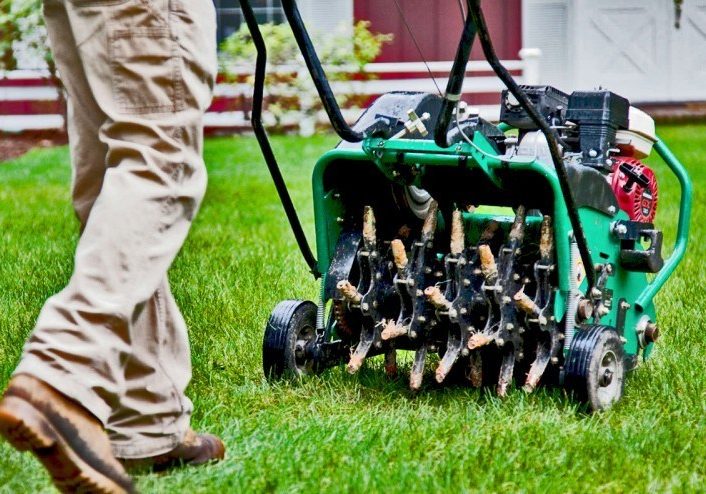 Green Tree Columbus yard aeration and over-seeding