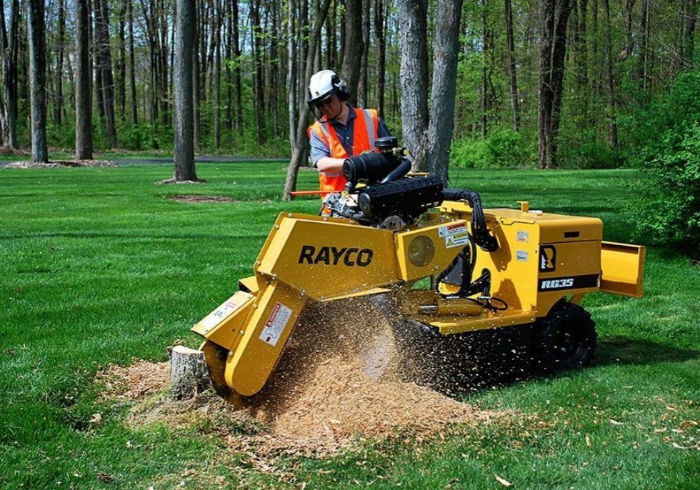 Green Tree Columbus tree and stump removal